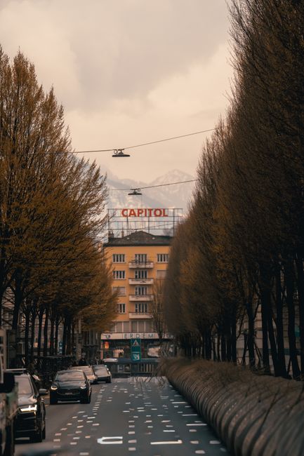 A straight street lined with tall, leafless trees on both sides, leading towards a building with a sign that reads 'CAPITOL' atop its roof. The sky overhead is overcast with gray clouds, and two overh