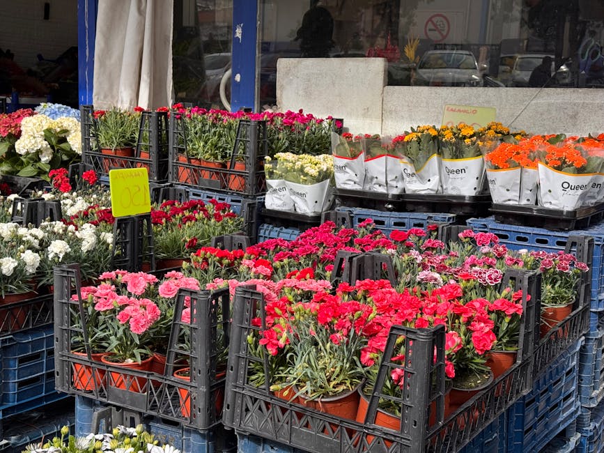 An outdoor display of various potted flowering plants arranged in black plastic crates on blue pallets. The flowers include bright pink and red carnations in the foreground, white blossoms and red blo