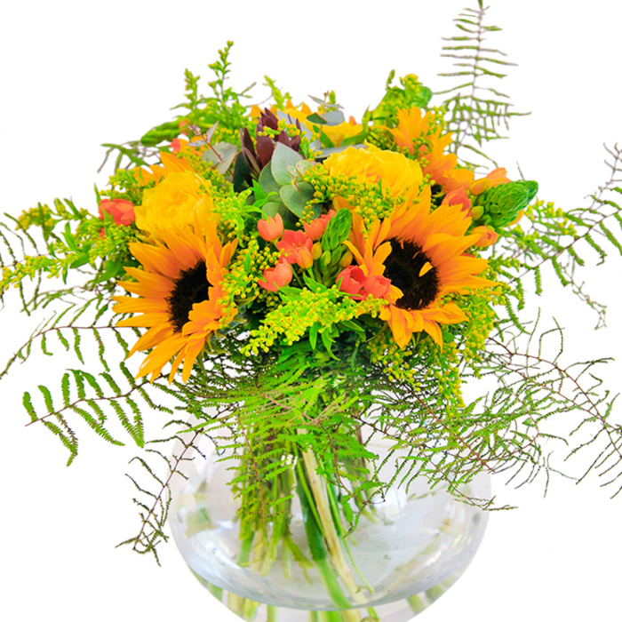 The first impression of this bouquet is absolute radiance-like the glow that bathes Swiss Cottage's parks in the golden hours of summer and autumn. Centered around striking sunflowers whose rich brown hearts and sun-bright petals open wide, the arrangement sets a tone of exuberant celebration. Velvety yellow garden roses unwind nearby, their perfectly spiraled layers lending a refined, almost sculptural quality that echoes beloved rose gardens in the area. Between these sun-bursting blooms, flashes of vivid red Hypericum berries nestle among a cascade of lush greenery, introducing bold colour harmonies that evoke the creative energy seen in neighbourhood galleries or lively local cafés. Delicate ferns and sprays of filigree goldenrod soften the arrangement's edges and add lush volume, while elegant stems of eucalyptus offer a refreshing, silvery-blue accent, reminiscent of morning mists in Regent's Park. The bouquet is thoughtfully set in a spherical glass vase, each stem crisply aligned and hydrated, ensuring the lasting vitality so prized by the community. Illuminated by soft, natural light, the whole composition feels like a tribute to sunshine-inviting warmth and heartfelt celebration, whether gracing a birthday table in a Swiss Cottage flat or delivered as a thoughtful gesture along Fairfax Road. Crafted by Flowers Swiss Cottage, this masterpiece is a living testament to the season's joy and the colourful fabric of the neighbourhood.